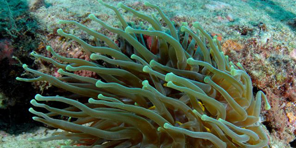 Dive With South Florida Diving Headquarters